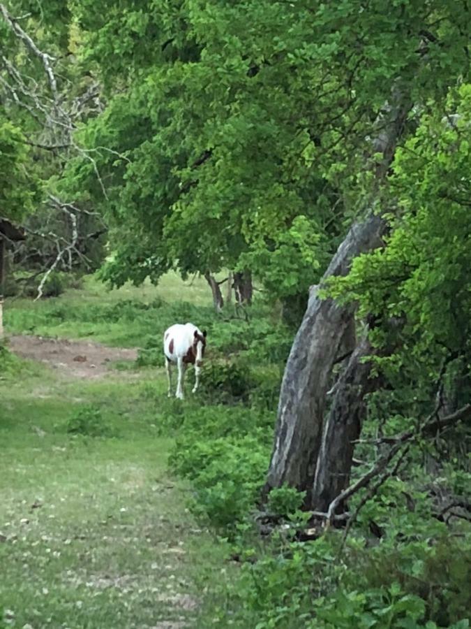 Perfect Country-side Get-away Boerne