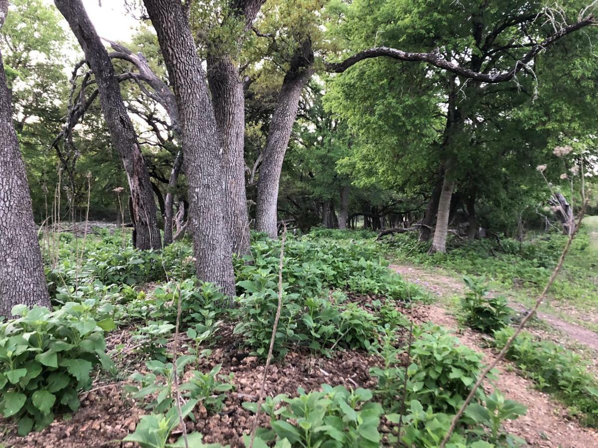 Perfect Country-side Get-away Boerne